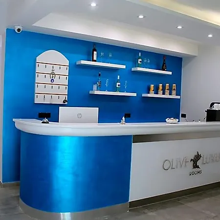 Olive Luxury מלון *